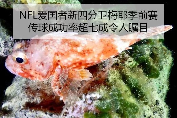 ai-guo-zhe-xin-si-fen-wei-mei-ye-ji-qian-sai-chuan-qiu-cheng-gong-lv-chao-qi-cheng-ling-ren-zhu-mu-3-654.jpg