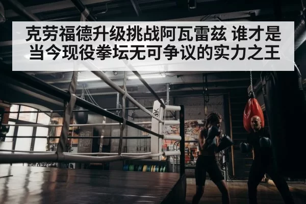 boxer training gym